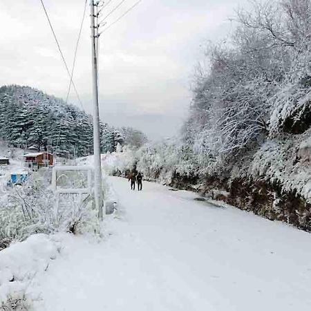 La Riqueza Dhanolti View # Near To Eco Park & Surkanda Devi Temple # Mountain View Rooms With Balcony # Big Parking # Customer Favourite Hotel Dhanaulti Exteriör bild