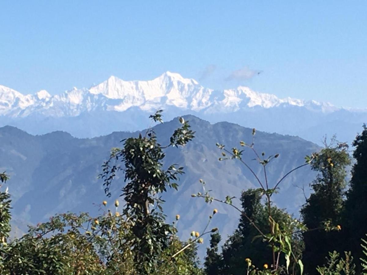 La Riqueza Dhanolti View # Near To Eco Park & Surkanda Devi Temple # Mountain View Rooms With Balcony # Big Parking # Customer Favourite Hotel Dhanaulti Exteriör bild