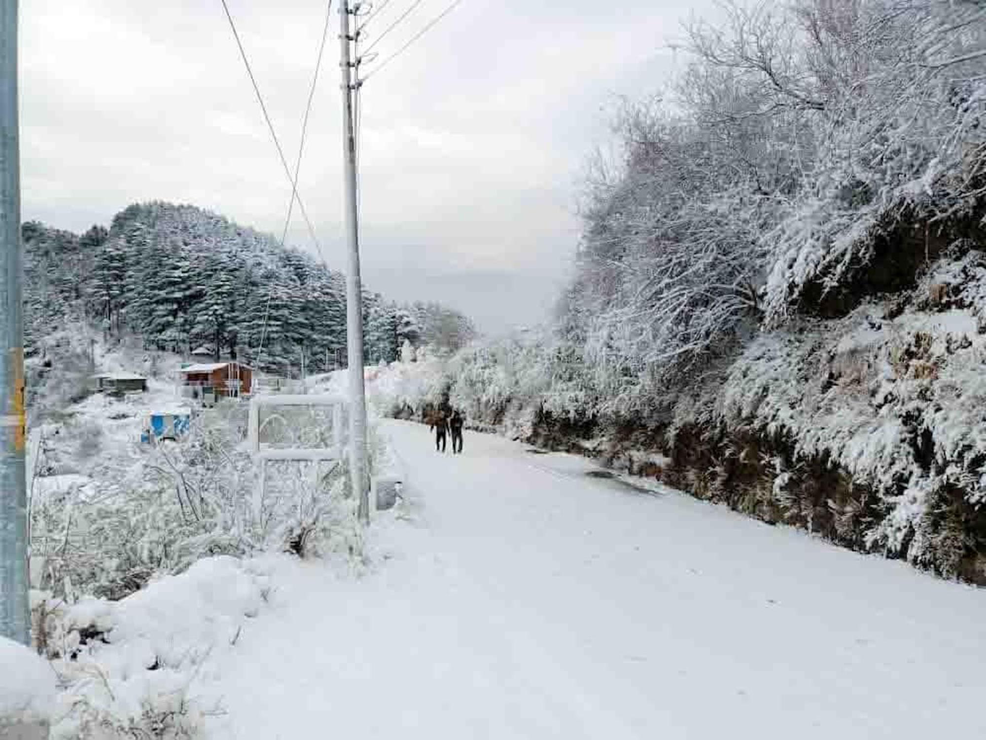 La Riqueza Dhanolti View # Near To Eco Park & Surkanda Devi Temple # Mountain View Rooms With Balcony # Big Parking # Customer Favourite Hotel Dhanaulti Exteriör bild