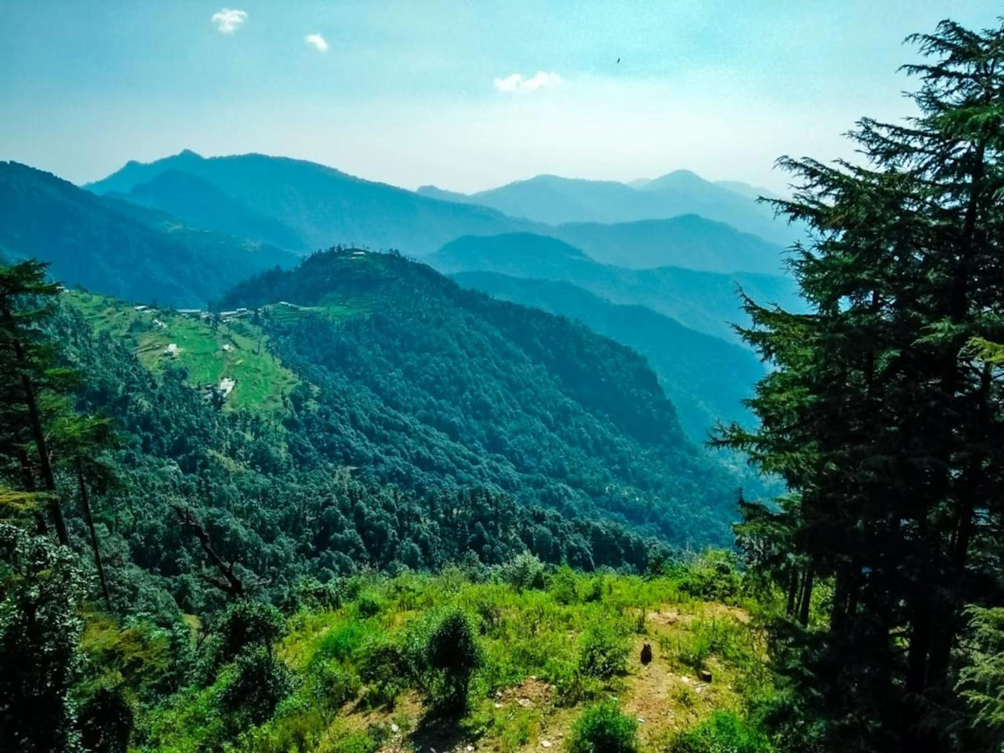 La Riqueza Dhanolti View # Near To Eco Park & Surkanda Devi Temple # Mountain View Rooms With Balcony # Big Parking # Customer Favourite Hotel Dhanaulti Exteriör bild